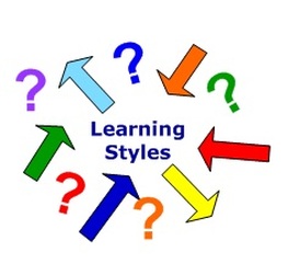 Adult Learning Styles Inventory 47